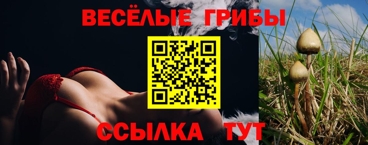 купить   Вход с VPN  Сегежа  Галлюциногенные грибы ЛСД 